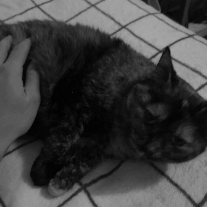 Profile Picture of Kyle Hagerman (@kylehagerman) on Tiktok