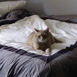 Profile Picture of John Runquist (@john.runquist.503) on Instagram