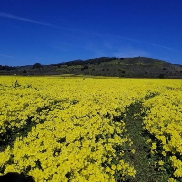 Profile Picture of Denny Tsuei (@tsuei_d) on Poshmark