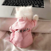 Profile Picture of Amal Sadek (@amalsadek4607) on Youtube