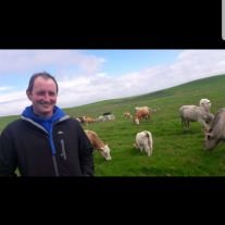 Profile Picture of Pat Moran (@PatMora13957489) on Twitter