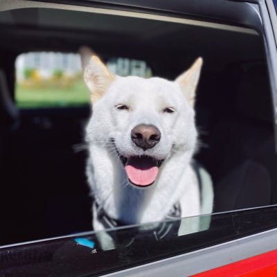 Profile Picture of Min Sik Pang (@minsikpang) on Twitter
