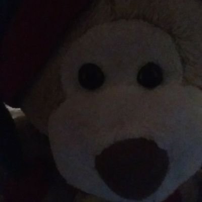 Profile Picture of Daniel Amadeo (@DanielAmadeo11) on Twitter