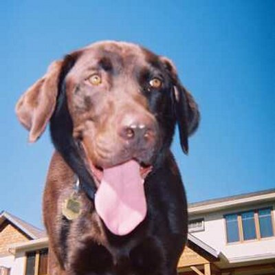 Profile Picture of Albert Monroe (@AlbertMonroe1) on Twitter