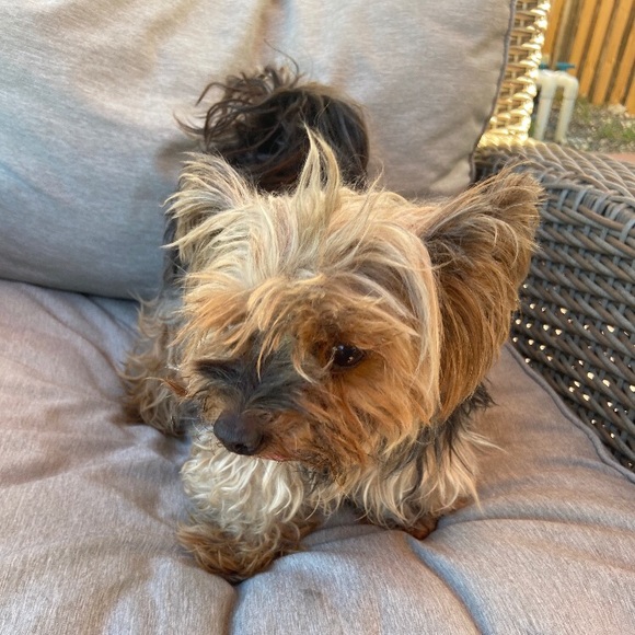 Profile Picture of Isa Ferreiro (@isaa773) on Poshmark