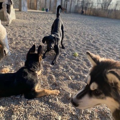 Profile Picture of D➖NiCE (@DerekMeyer_22) on Twitter