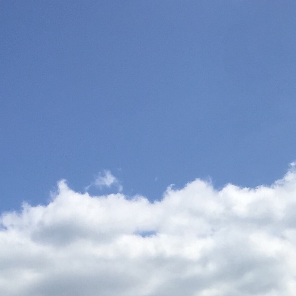 Profile Picture of Alex Froehlich (@alexfroehlich) on Poshmark