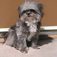 Profile Picture of Michael Yeager (@michael-yeager-2) on Quora