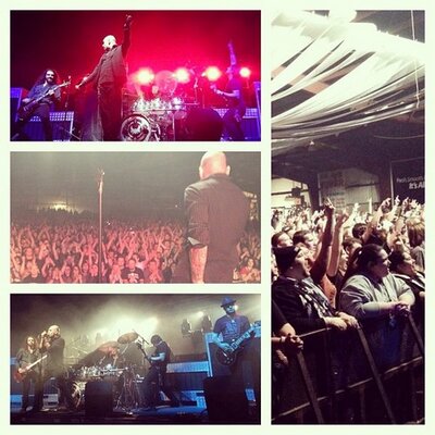 Profile Picture of Jason Starbuck (@JDStarbuck08) on Twitter