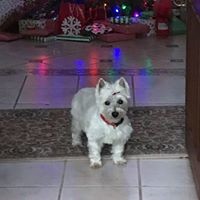 Profile Picture of Libby Carter (@libby-carter-6) on Quora