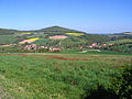 Profile Picture of Selberg (Kusel)on Wikipedia