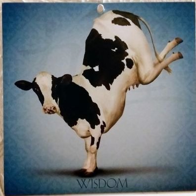 Profile Picture of Jenny Scott (@la_bella_moo) on Twitter