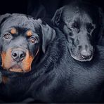 Profile Picture of Sarah Streeter (@sarah.streeter.9237) on Facebook