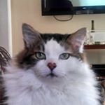 Profile Picture of Robert Derbacher (@rderbach) on Instagram