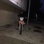 Profile Picture of samuel_samuel_le_fou (@samuel_samuel_le_fou) on Instagram