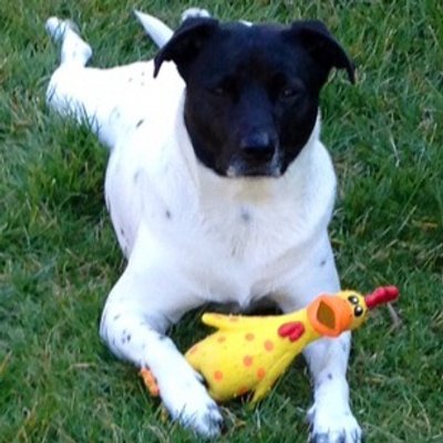 Profile Picture of Scott Sowers (@soupsowers) on Twitter