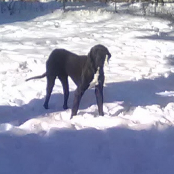 Profile Picture of Dylan Vanalstine (@dylan_v) on Poshmark