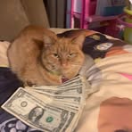 Profile Picture of Nicholas Condon (@nicholas.condon.2025) on Facebook