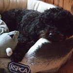 Profile Picture of Graham Rowley (@moya.graham) on Instagram