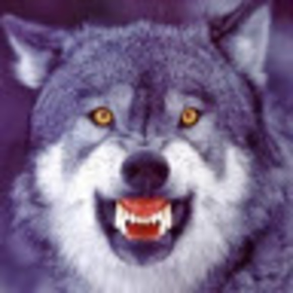 Profile Picture of Daniel Burnett (@maddan3740) on Poshmark