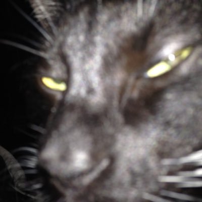 Profile Picture of Brian Gilmore (@brian_gilmore) on Twitter
