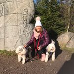 Profile Picture of Barbara Nicholson (@barbaranicholson2447) on Instagram