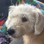 Profile Picture of John (@j_wursten) on Instagram
