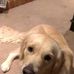 Profile Picture of Peter Engberg (@peter.engberg.771) on Facebook