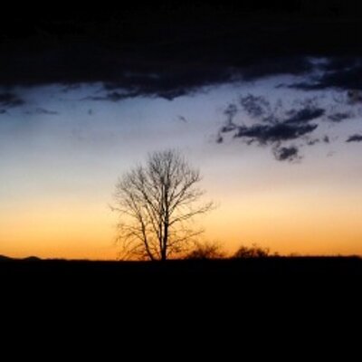Profile Picture of Laura Pegorini (@kitlp_laura) on Twitter