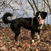 Profile Picture of Noah Klerkx (@noahklerkx7972) on Youtube