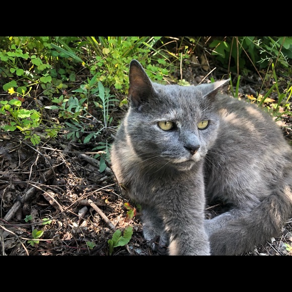 Profile Picture of Kyanna Plecker (@klplecker) on Poshmark