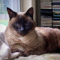 Profile Picture of Anita Chapman (@anita-chapman-10) on Quora