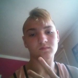 Profile Picture of Alexander Crittenden (@goblinshark000) on Twitter