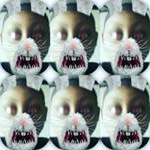Profile Picture of Shawn leach (@shawn5527) on Instagram