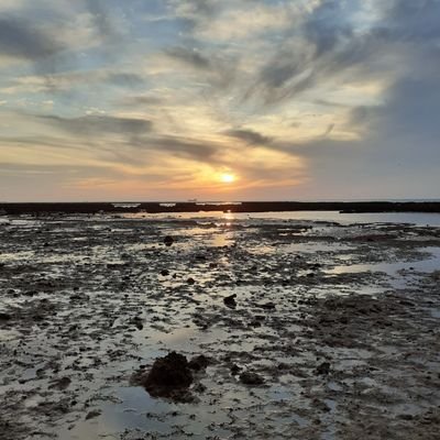 Profile Picture of Luis Nogués Sáez (@Luisnogues5) on Twitter