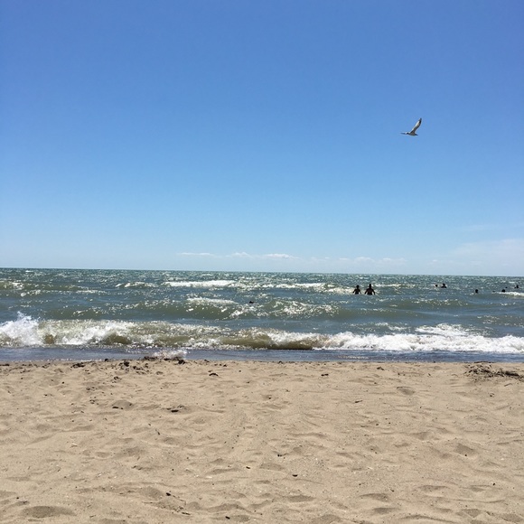 Profile Picture of Jennifer Mitrevski (@djm25) on Poshmark