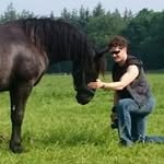 Profile Picture of Kevin Winkel (@kevin_winkel) on Instagram
