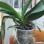 Profile Picture of Roberto Serio (@roberto.serio.1426) on Instagram