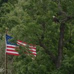 Profile Picture of Matt Baiamonte (@matt.baiamonte.3) on Facebook