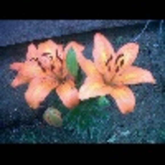 Profile Picture of Amanda Houle (@amndamay) on Poshmark