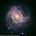 Profile Picture of David Webley (@davidwebley6) on Pinterest
