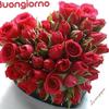 Profile Picture of ❤️Teresa_byready❤️ (@terry_byready01) on Tiktok