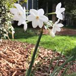 Matthew Plyler - Instagram Profile Picture of Matthew Plyler (@plylermatthew) on Instagram