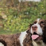 Profile Picture of ADAM MUISE (@adammuise_) on Instagram