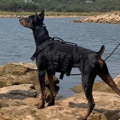 Profile Picture of Bailey^~^ (@Bailiff07) on Twitter