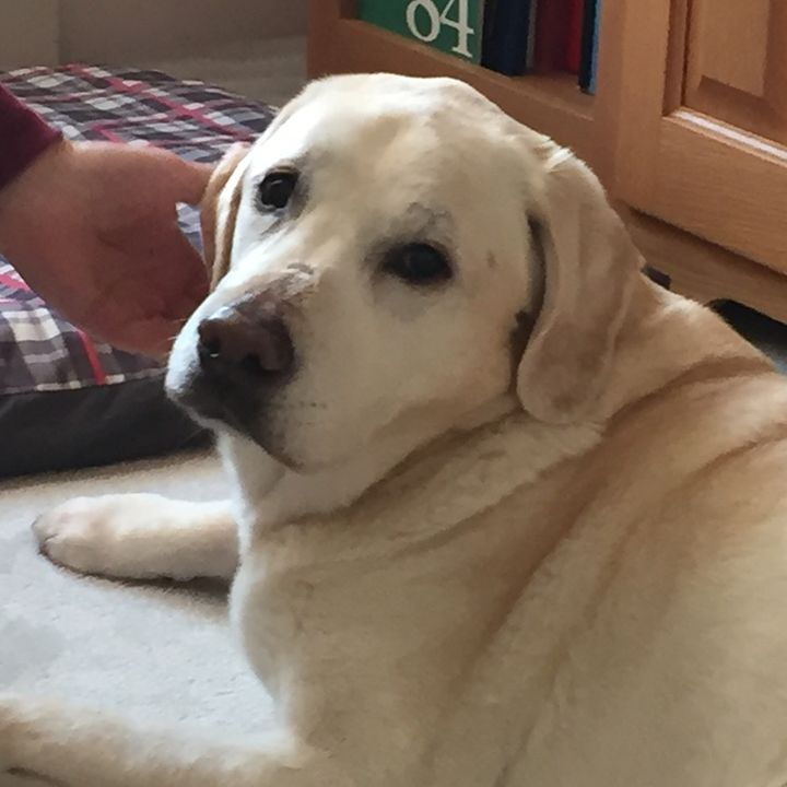 Profile Picture of HoytKim (@hoytkim) on Tiktok