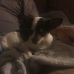 Profile Picture of John Crosby (@pepper41324132) on Instagram