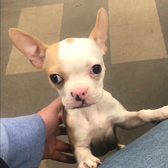 Profile Picture of Ryan Hedman (@ryanhedman33) on Poshmark