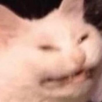 Profile Picture of Daniel Metzler (@danielmetzler1) on Twitter