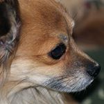 Profile Picture of julianne combs (@combs7102ww) on Instagram